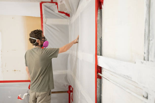 Best Biohazard Mold Removal  in Apache, OK