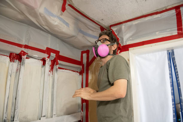Best Emergency Mold Remediation  in Apache, OK