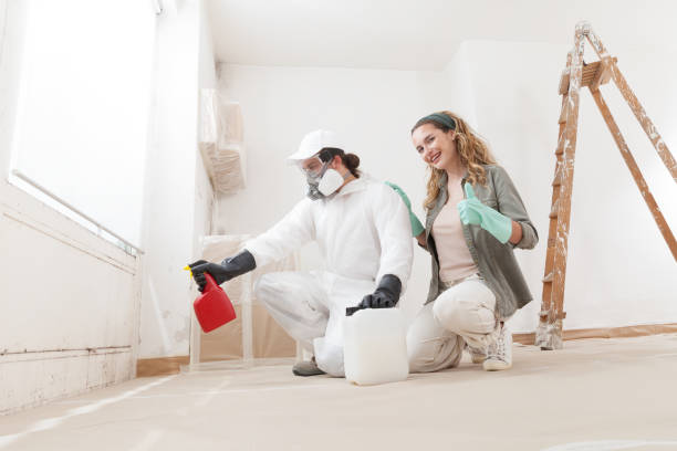 Best Attic Mold Removal  in Apache, OK
