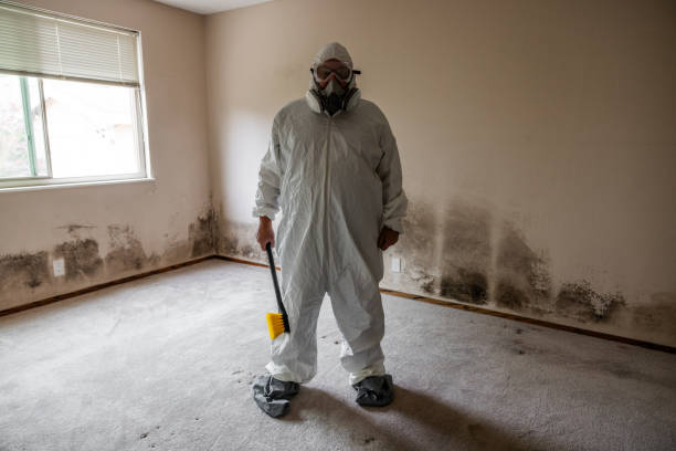 Best Mold Remediation for Healthcare Facilities  in Apache, OK