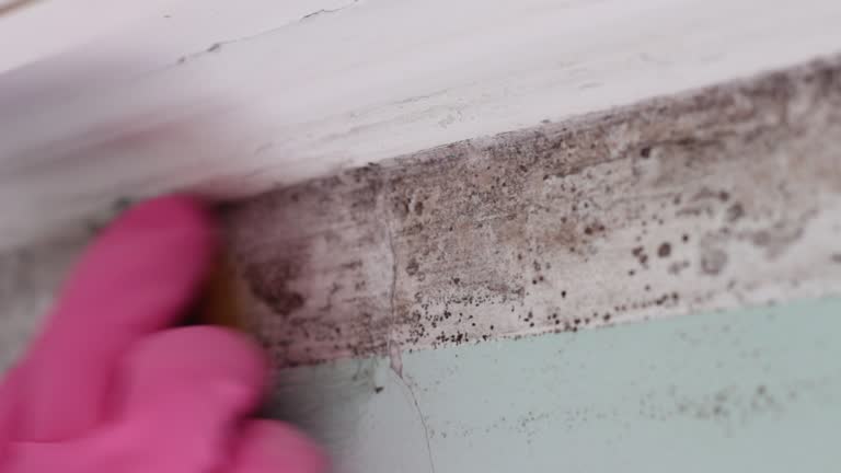 Best Mold-Related Health Consultation  in Apache, OK